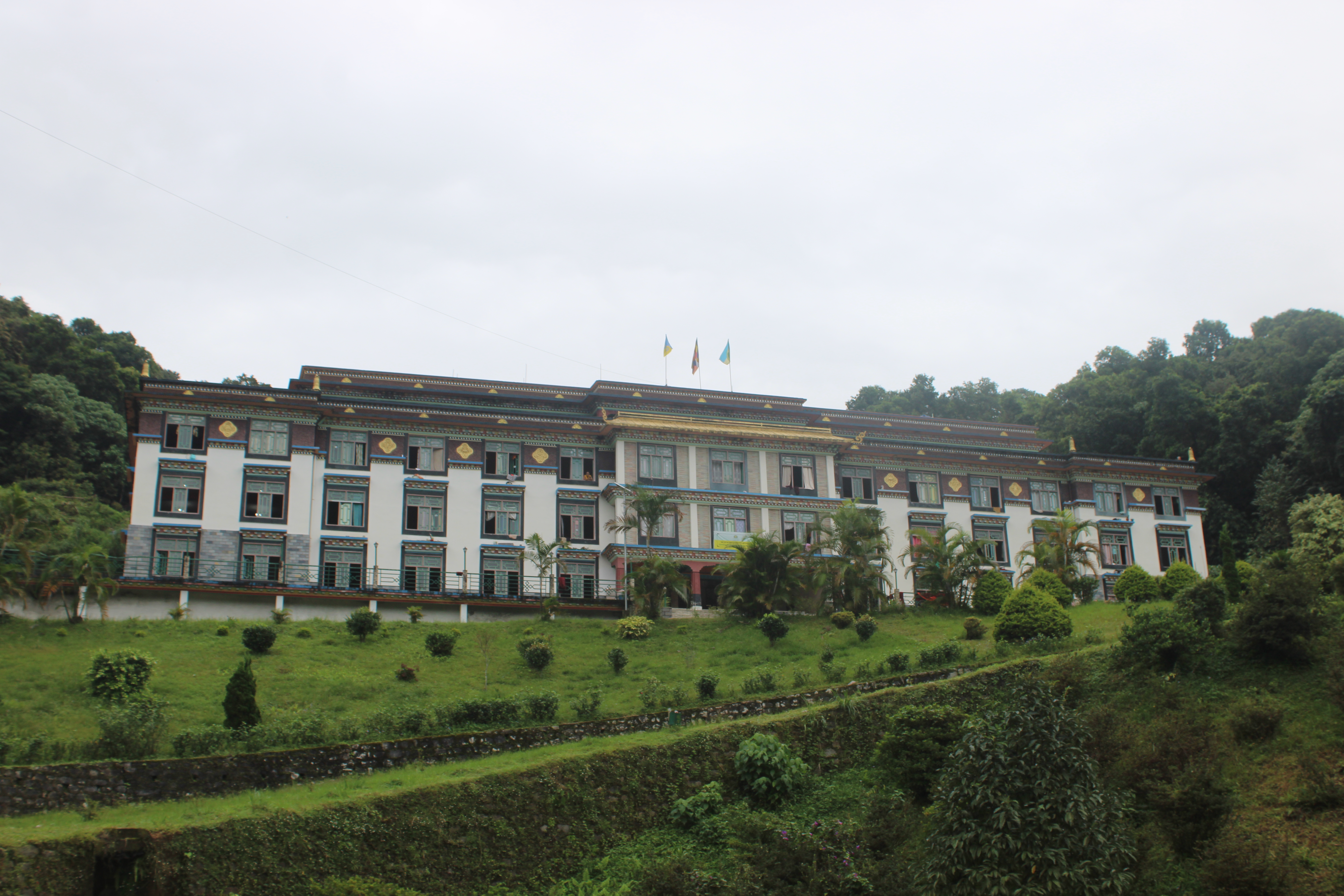 Mase School, Ranka