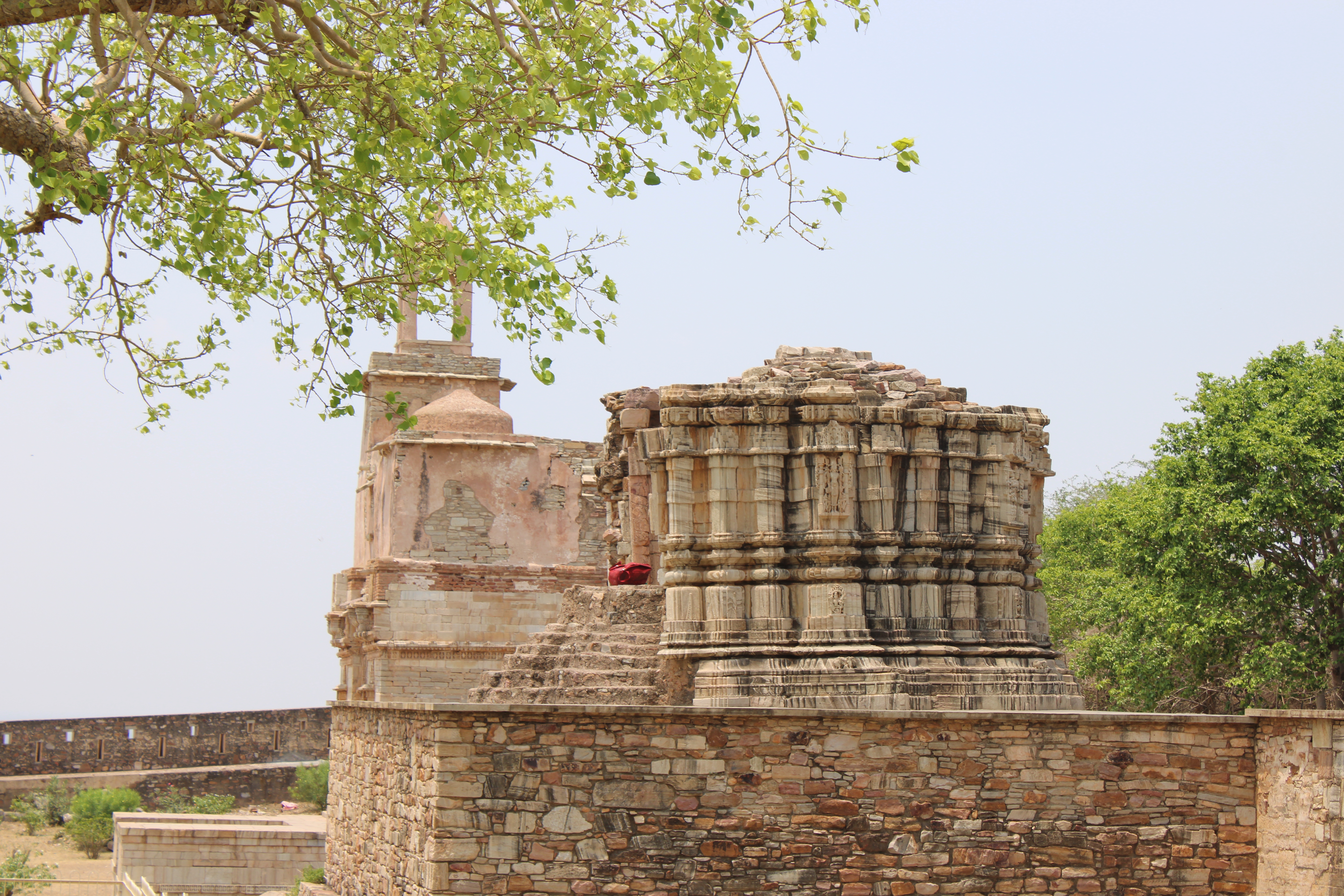 Ruined Temple Vijay Stambh, Chittor