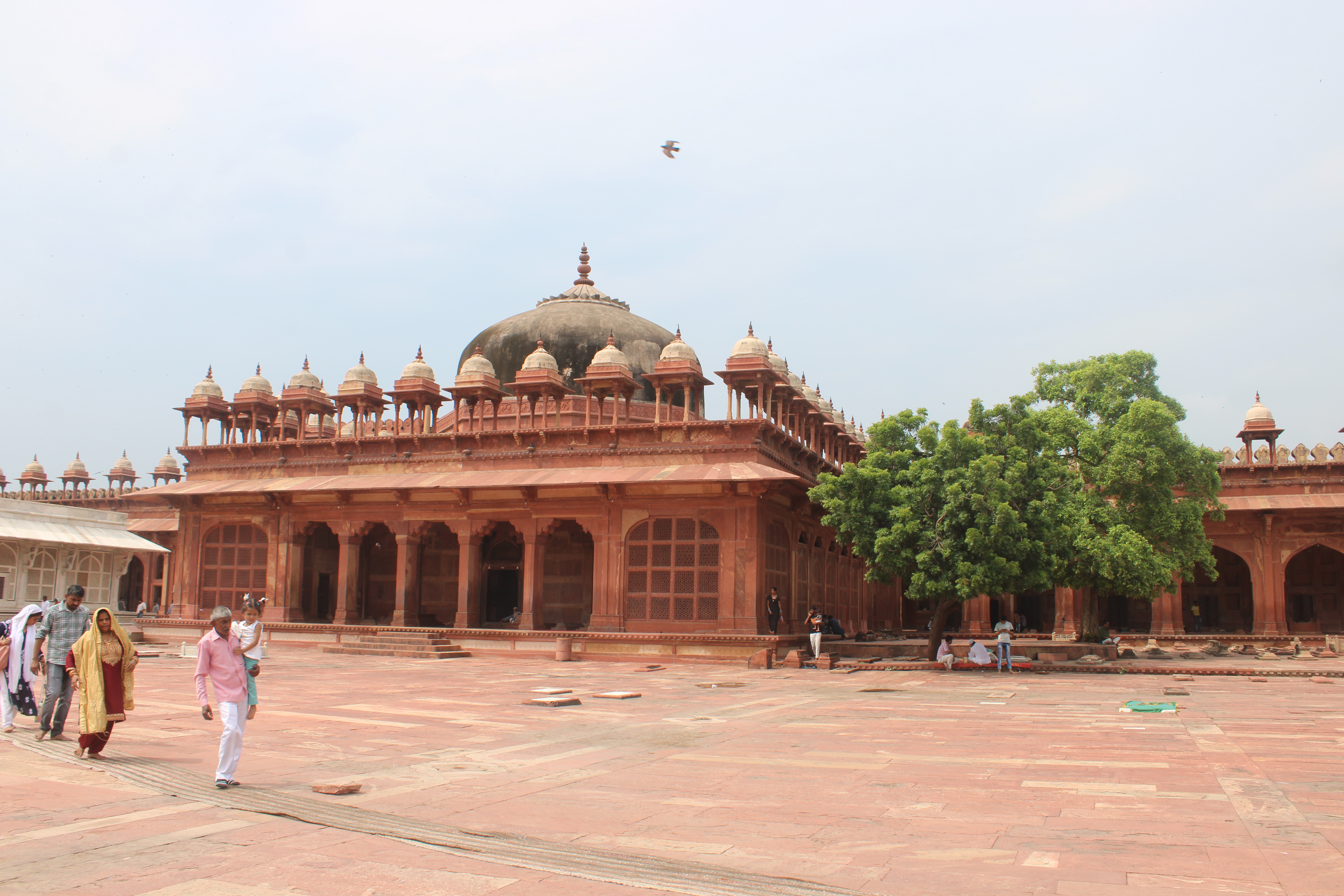 Salim Chisti