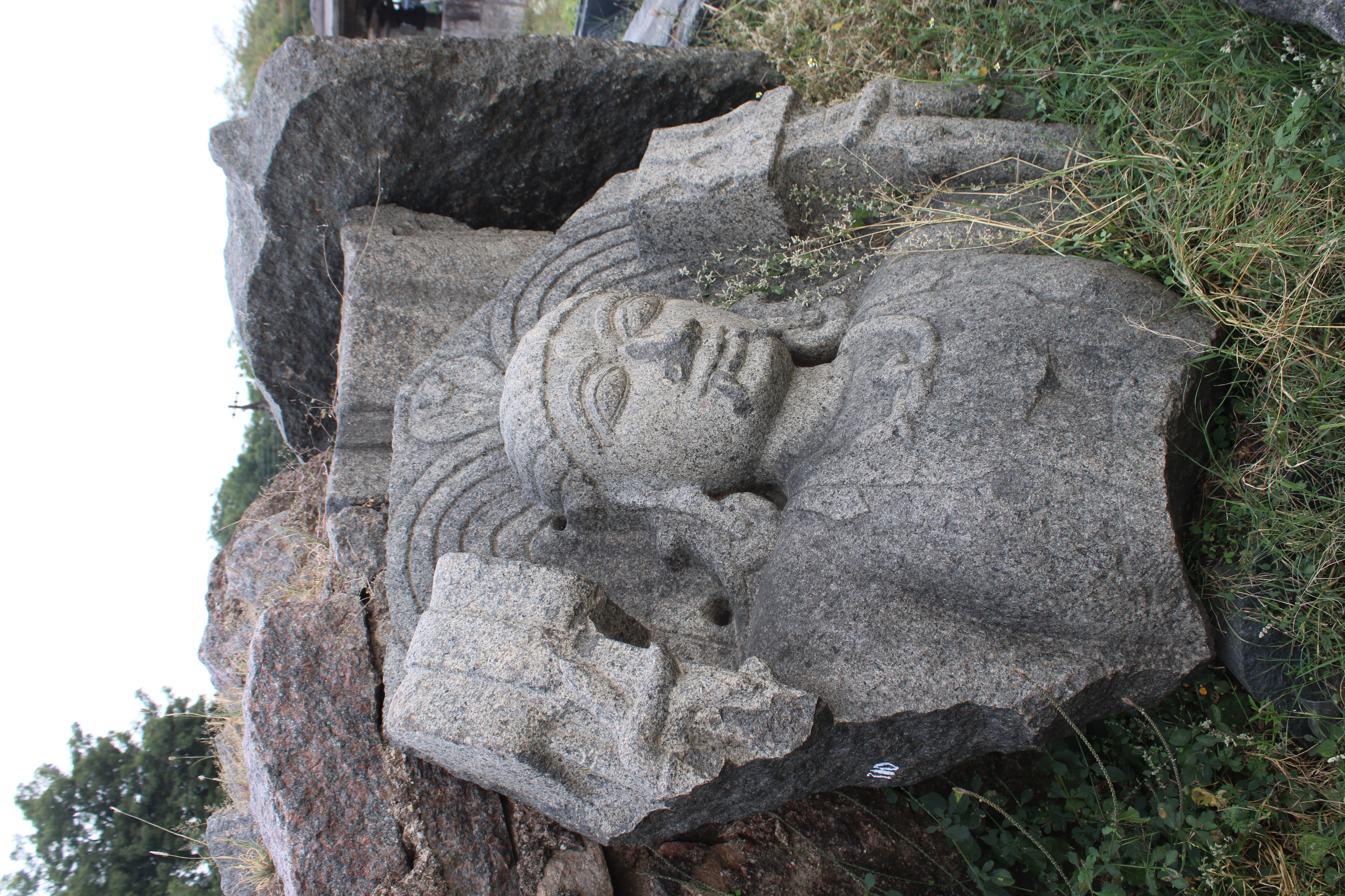 Warangal Fort